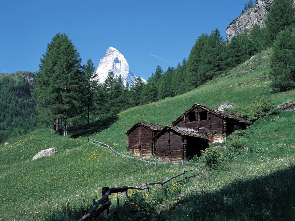 Apartment Breithorn By Interhome Zermatt Ngoại thất bức ảnh
