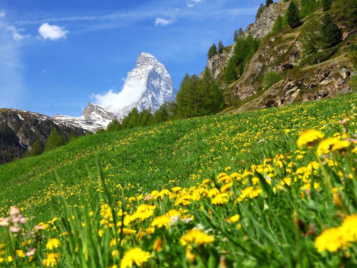 Apartment Breithorn By Interhome Zermatt Ngoại thất bức ảnh